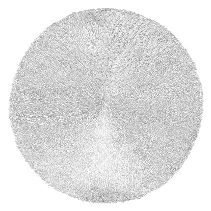 PLACEMAT CAPELINNI DIA 38CM SILVER