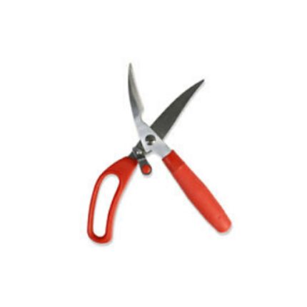 POULTRY SCISORRS S/STEEL 25CM EVA