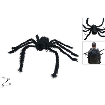 SPIDER