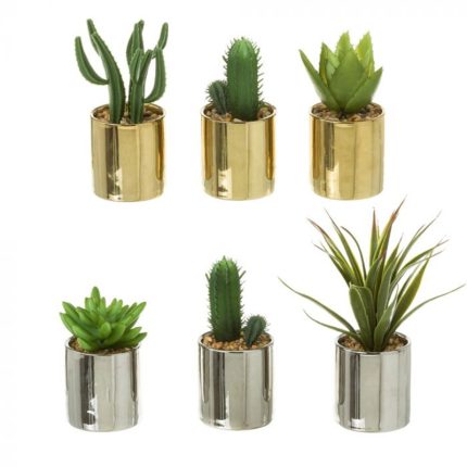 PLANT CACTUS 6/M PLASTIC