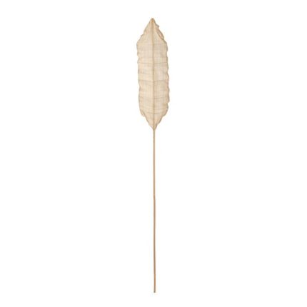 BRANCH NATURAL WAY NATURAL FIBER