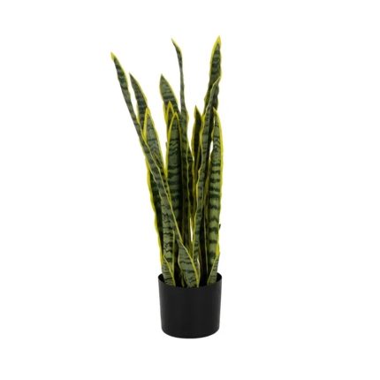 PLANT DRACAENA GREEN-YELLOW 80CM