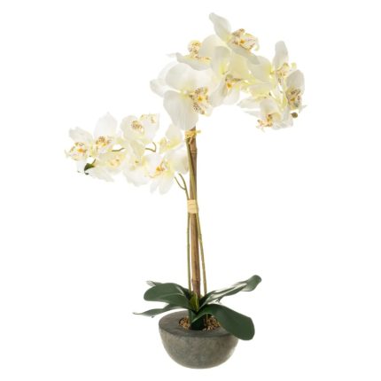 PLANT ORCHID POLYESTER 14 X 14 X 57 CM