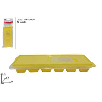 ICE CUBE CONTAINER