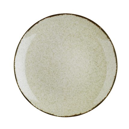 COLORX EO 27CM FLAT PLATE PEARL CINNA