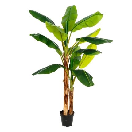 PLANT BANANA TREE GREEN 103X95X200CM
