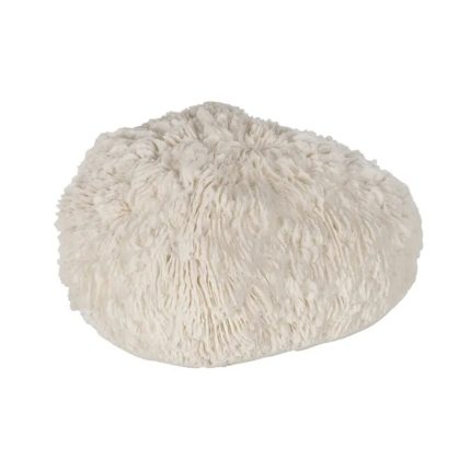 TABLE LAMP CORAL SANDSTONE 14.3X11.5X8.5
