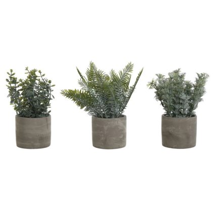 PLANT CEMENT 13X13X24 3 MOD