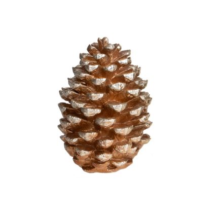 PINE CONE RESIN