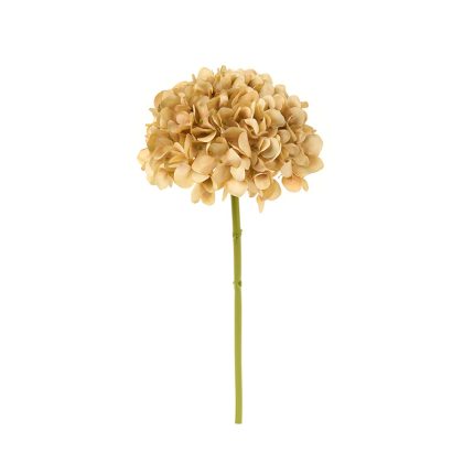 HYDRANGEA CARAMEL 46CM