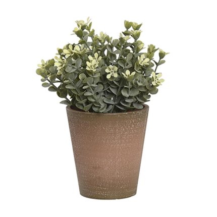 PLANT CERAMIC 15X15X18.5CM
